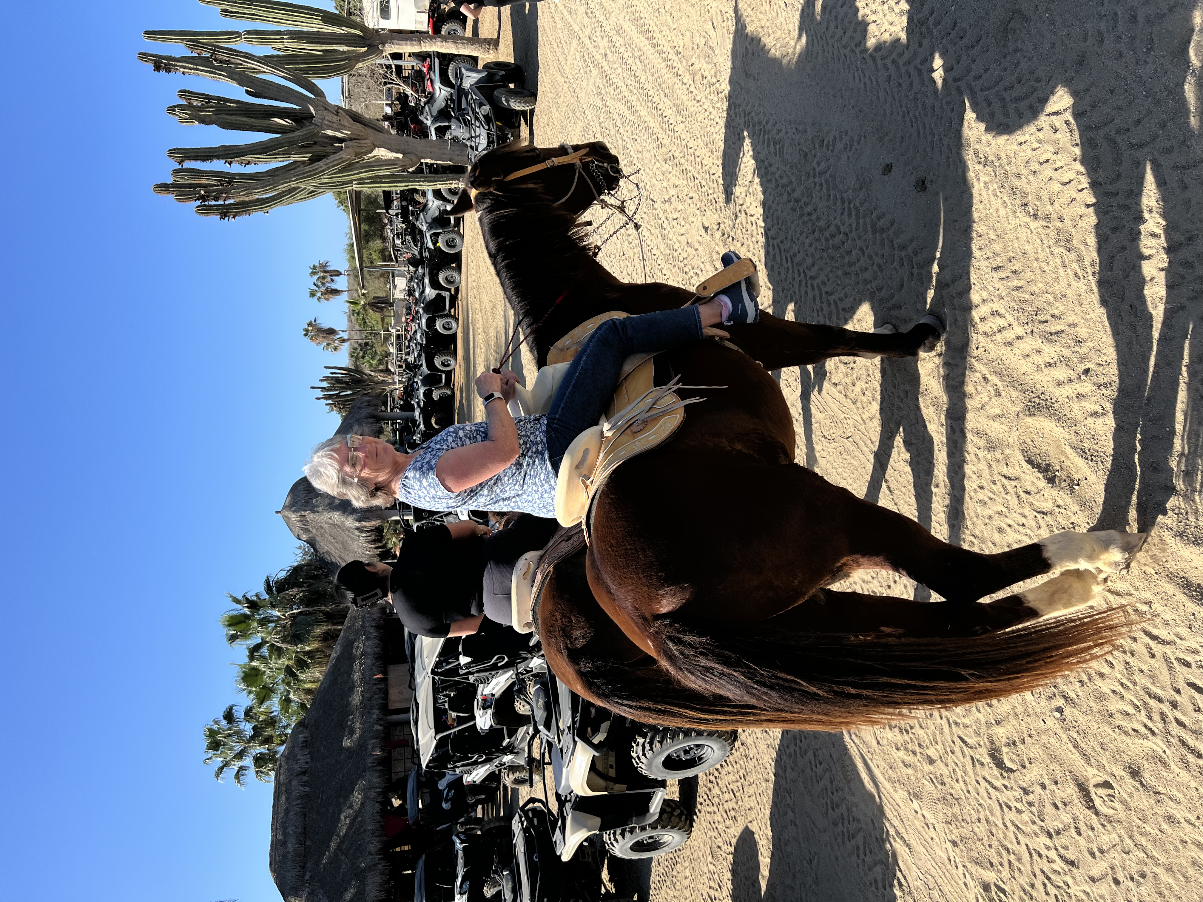 ./2024/13 - Cabo/IMG_4501.jpg